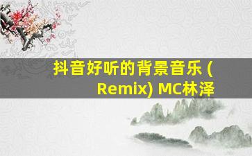 抖音好听的背景音乐 (Remix) MC林泽